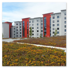 Reihenhäuser mit Flachdächer